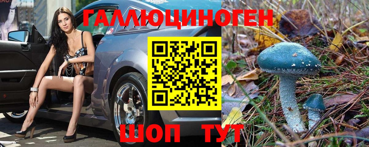 Псилоцибиновые грибы Psilocybe  Вход с VPN  Будённовск  Галлюциногенные грибы прущие грибы 
